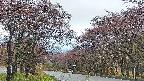 takano2-20250430181030.jpg