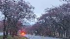 takano2-20250430184029.jpg
