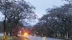 takano2-20250430185030.jpg