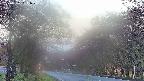 takano2-20250501051030.jpg