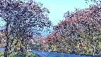 takano2-20250501055030.jpg
