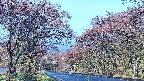 takano2-20250501061031.jpg