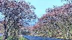 takano2-20250501062030.jpg