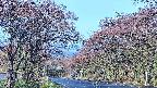 takano2-20250501063031.jpg