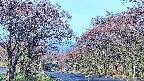 takano2-20250501064031.jpg