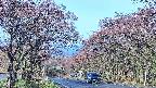 takano2-20250501065031.jpg