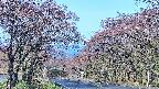 takano2-20250501071031.jpg