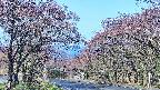 takano2-20250501072031.jpg