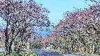 takano2-20250501074031.jpg