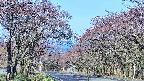 takano2-20250501075031.jpg