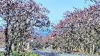 takano2-20250501081031.jpg
