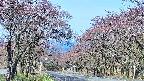 takano2-20250501082033.jpg