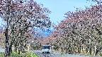 takano2-20250501083031.jpg