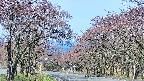 takano2-20250501084031.jpg