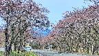 takano2-20250501085030.jpg