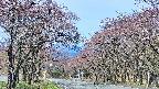 takano2-20250501090030.jpg