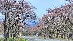 takano2-20250501092031.jpg
