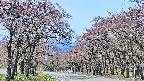 takano2-20250501101030.jpg