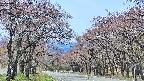 takano2-20250501105031.jpg