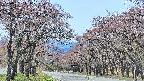 takano2-20250501111031.jpg