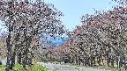 takano2-20250501112031.jpg