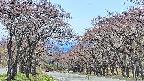 takano2-20250501115029.jpg