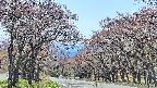 takano2-20250501121033.jpg