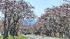 takano2-20250501124030.jpg