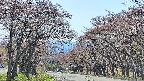 takano2-20250501130031.jpg