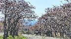 takano2-20250501132031.jpg