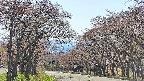 takano2-20250501135031.jpg