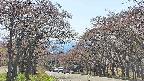 takano2-20250501140029.jpg
