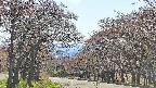 takano2-20250501141031.jpg