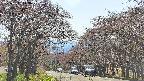 takano2-20250501143030.jpg