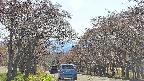 takano2-20250501145030.jpg