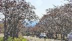 takano2-20250501150031.jpg