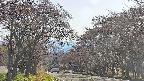 takano2-20250501155029.jpg