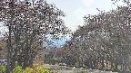 takano2-20250501160031.jpg