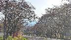 takano2-20250501162031.jpg