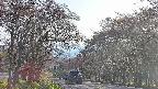 takano2-20250501165030.jpg