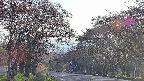 takano2-20250501173031.jpg