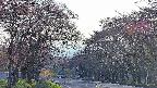 takano2-20250501174031.jpg