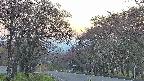 takano2-20250501182031.jpg
