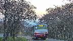 takano2-20250501184031.jpg