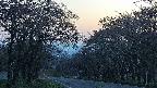takano2-20250501185030.jpg