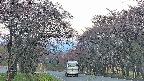 takano2-20250502050030.jpg