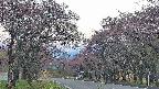 takano2-20250502051029.jpg