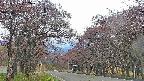 takano2-20250502052030.jpg