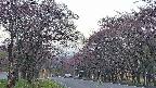 takano2-20250502054029.jpg