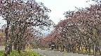 takano2-20250502055030.jpg